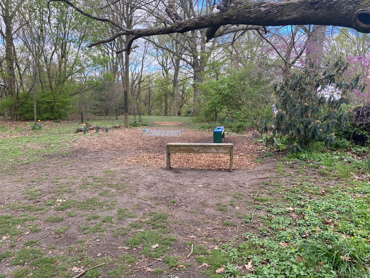 Hole 1 Blue
