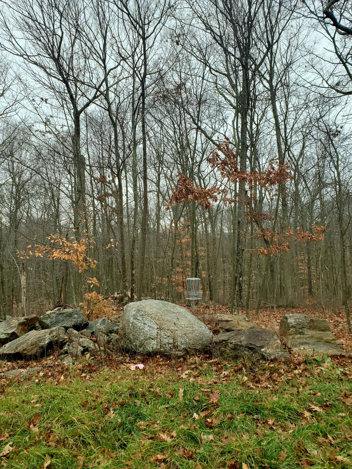 Hole 5