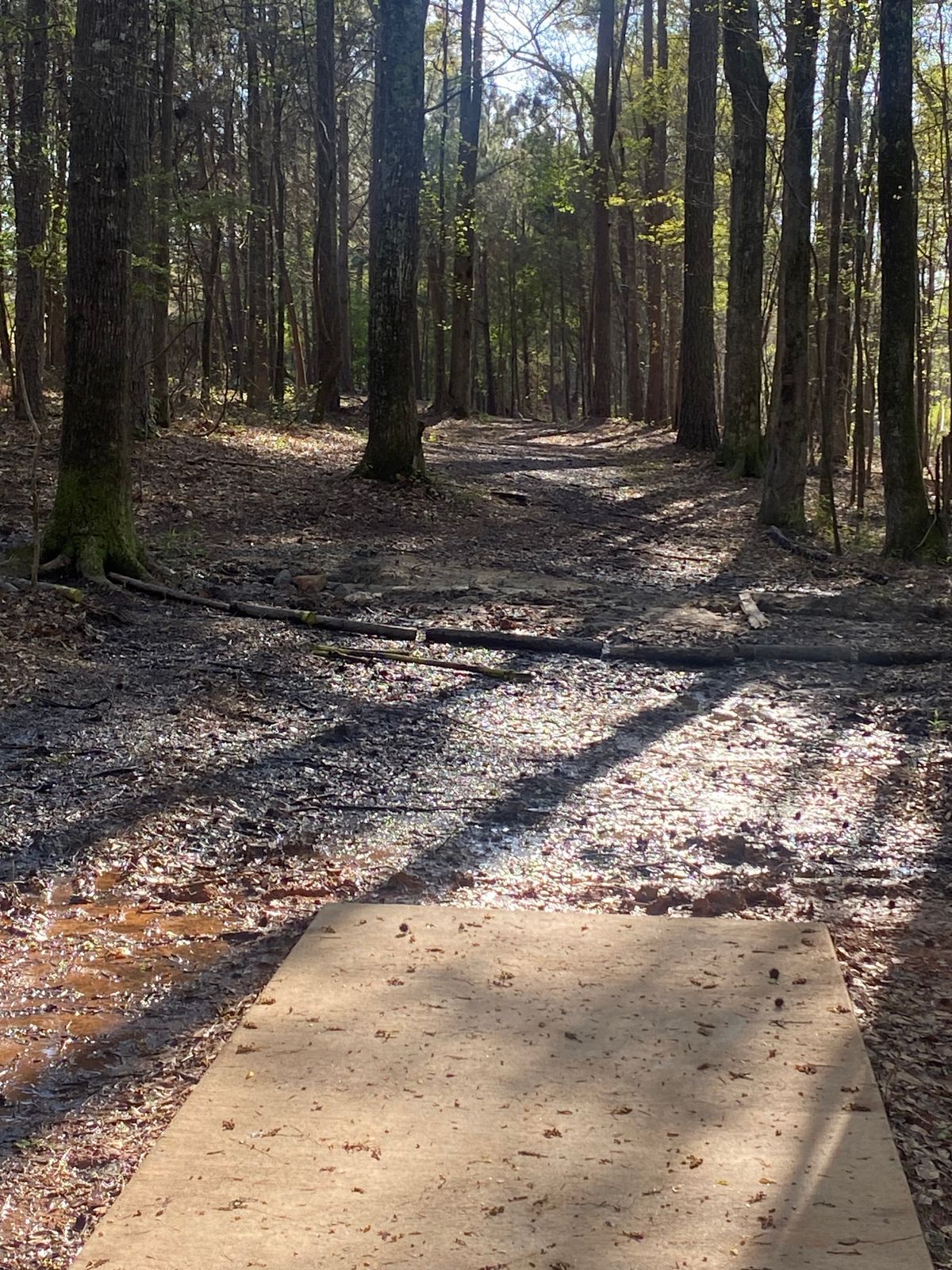 Hole 9