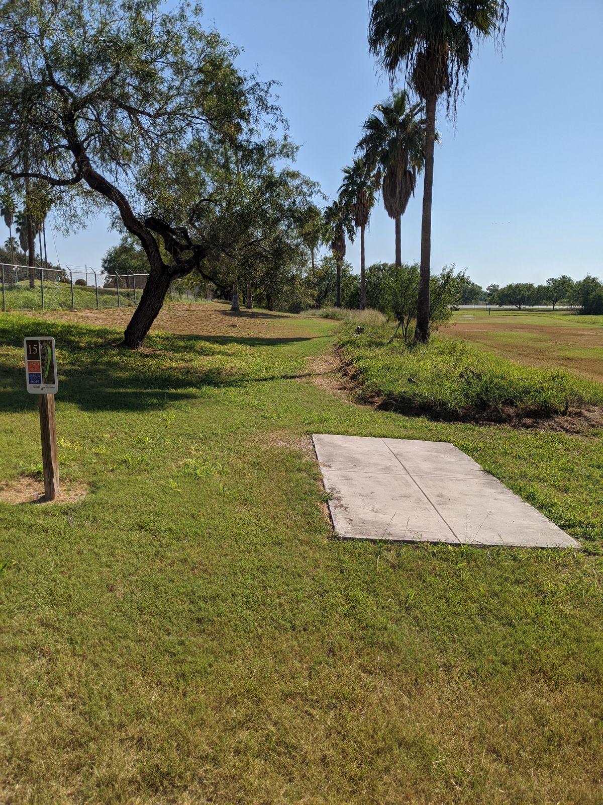 #16 short tee pad