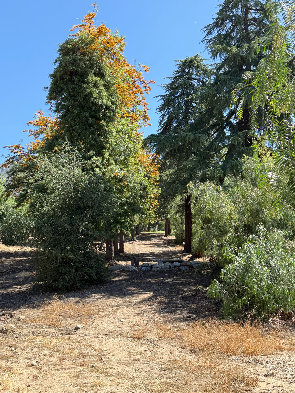 Hole 18