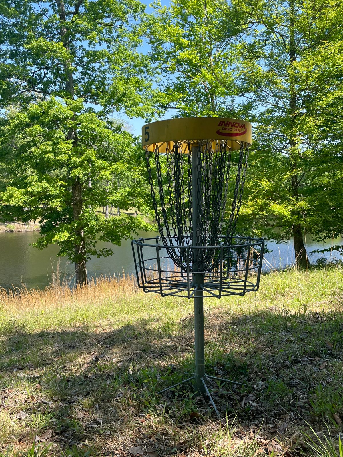 Hole 5 basket, pretty.