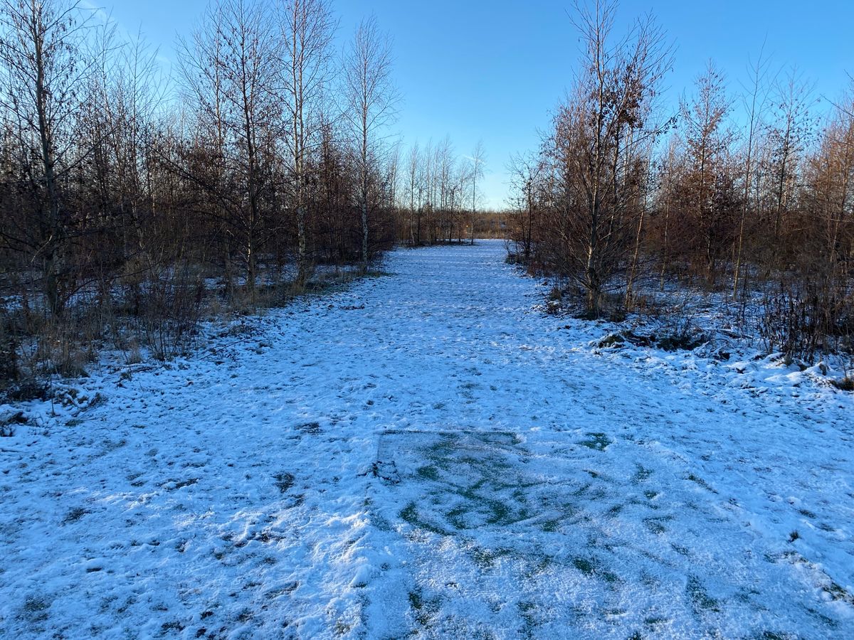 Hole 5.