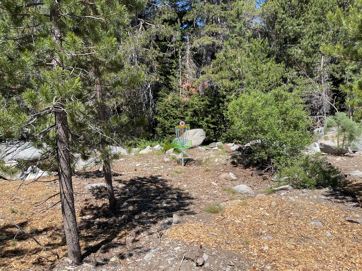 Hole 6, pin position C