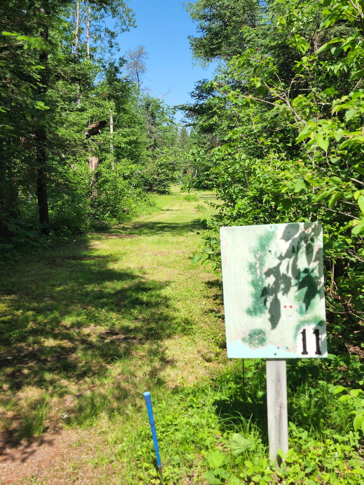 Hole 11 Overview