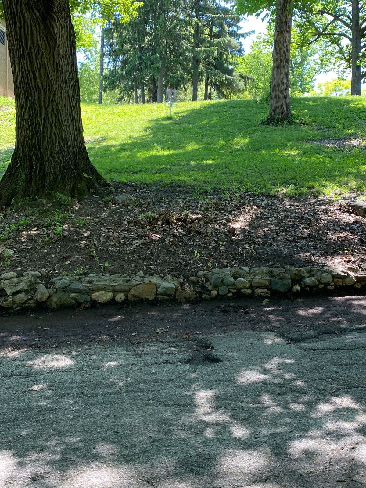 Hole 10 basket