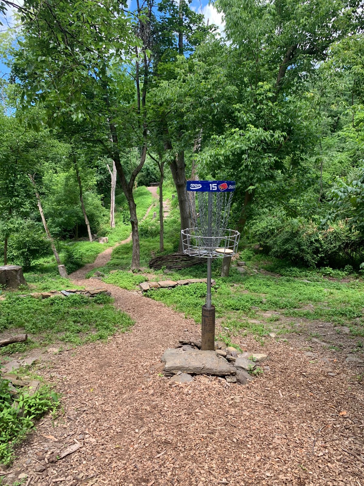 Hole 15