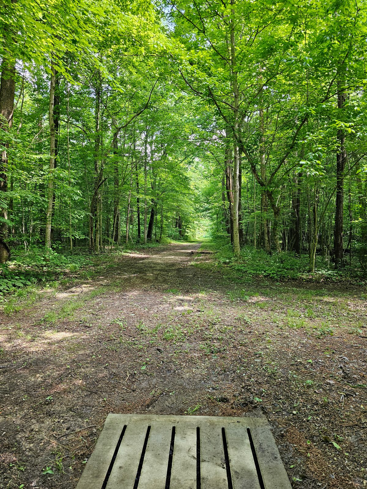 Hole 16