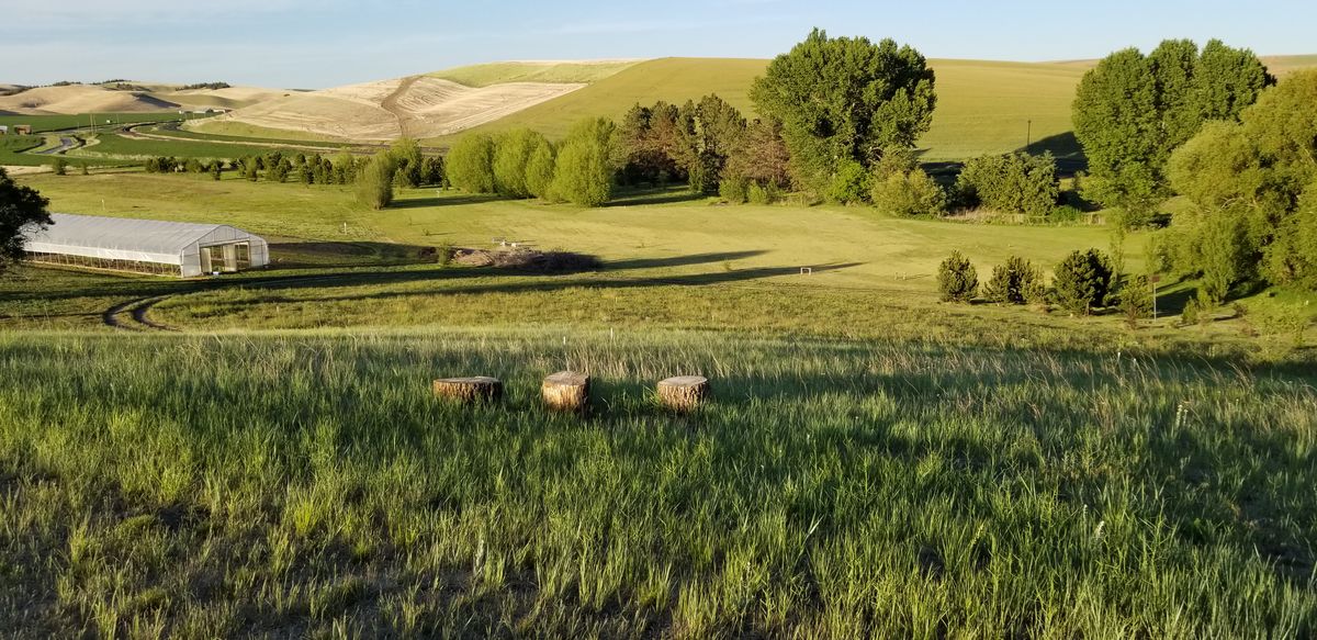 Log seating from 18 hole tee.