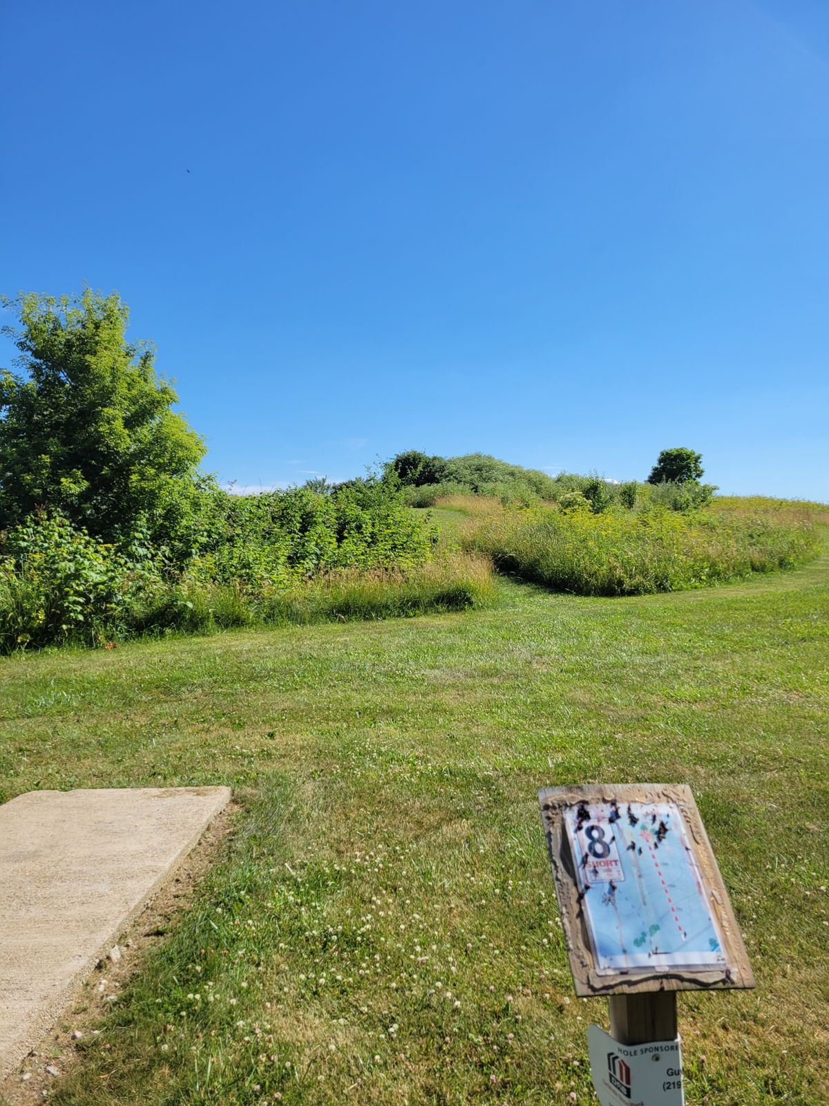 8th Tee
