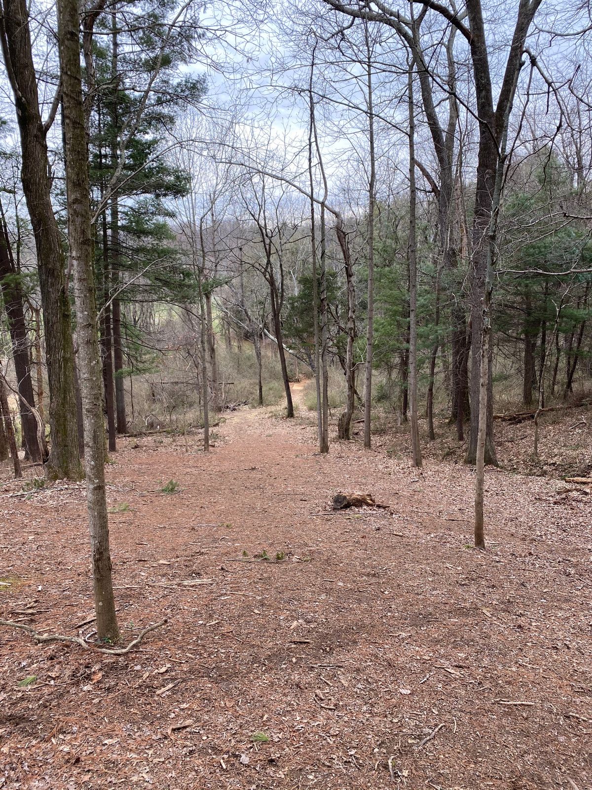 Looking down to hole 7’s tee pad.