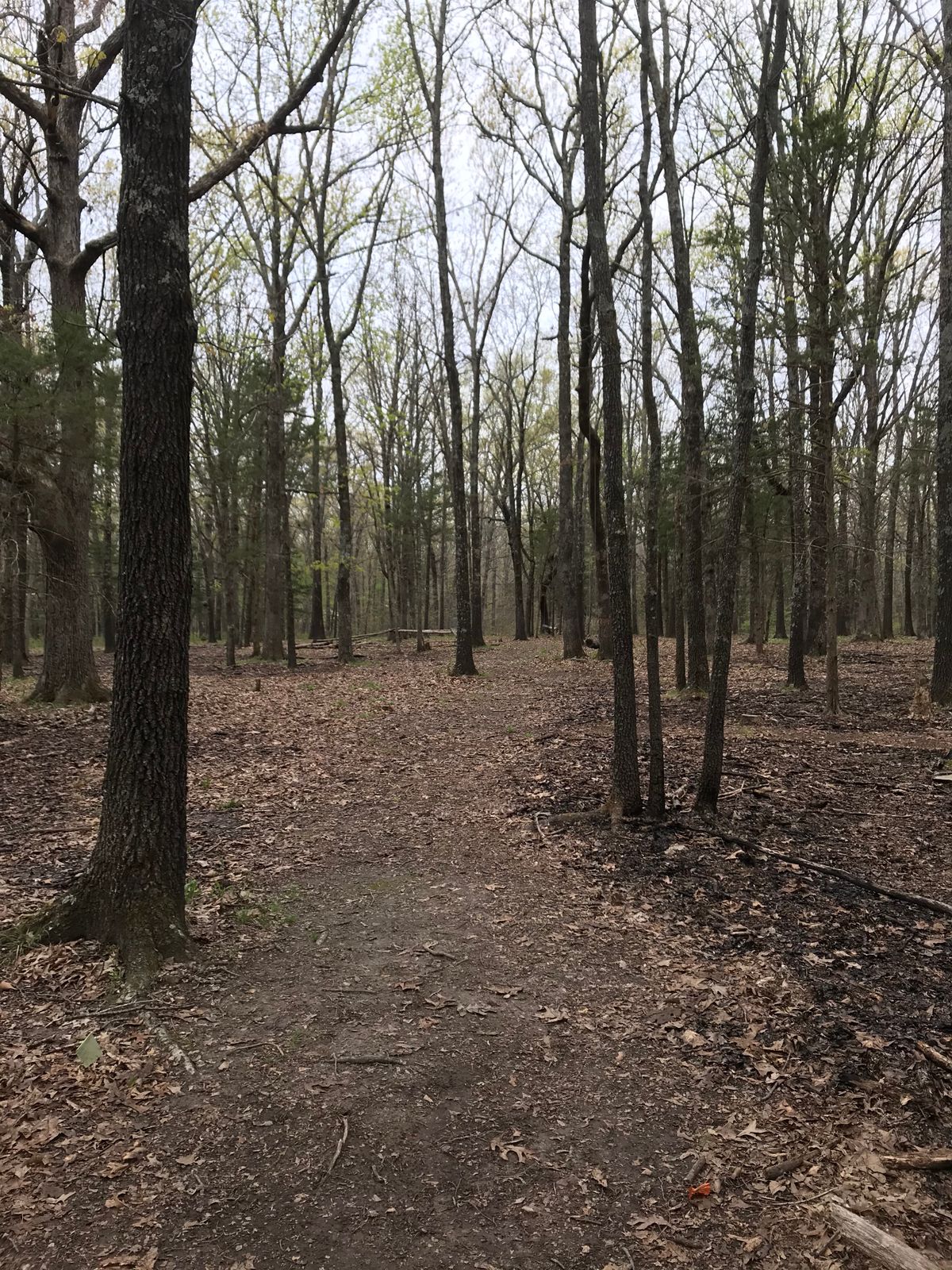 Hole 13 fairway