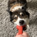 nreining
