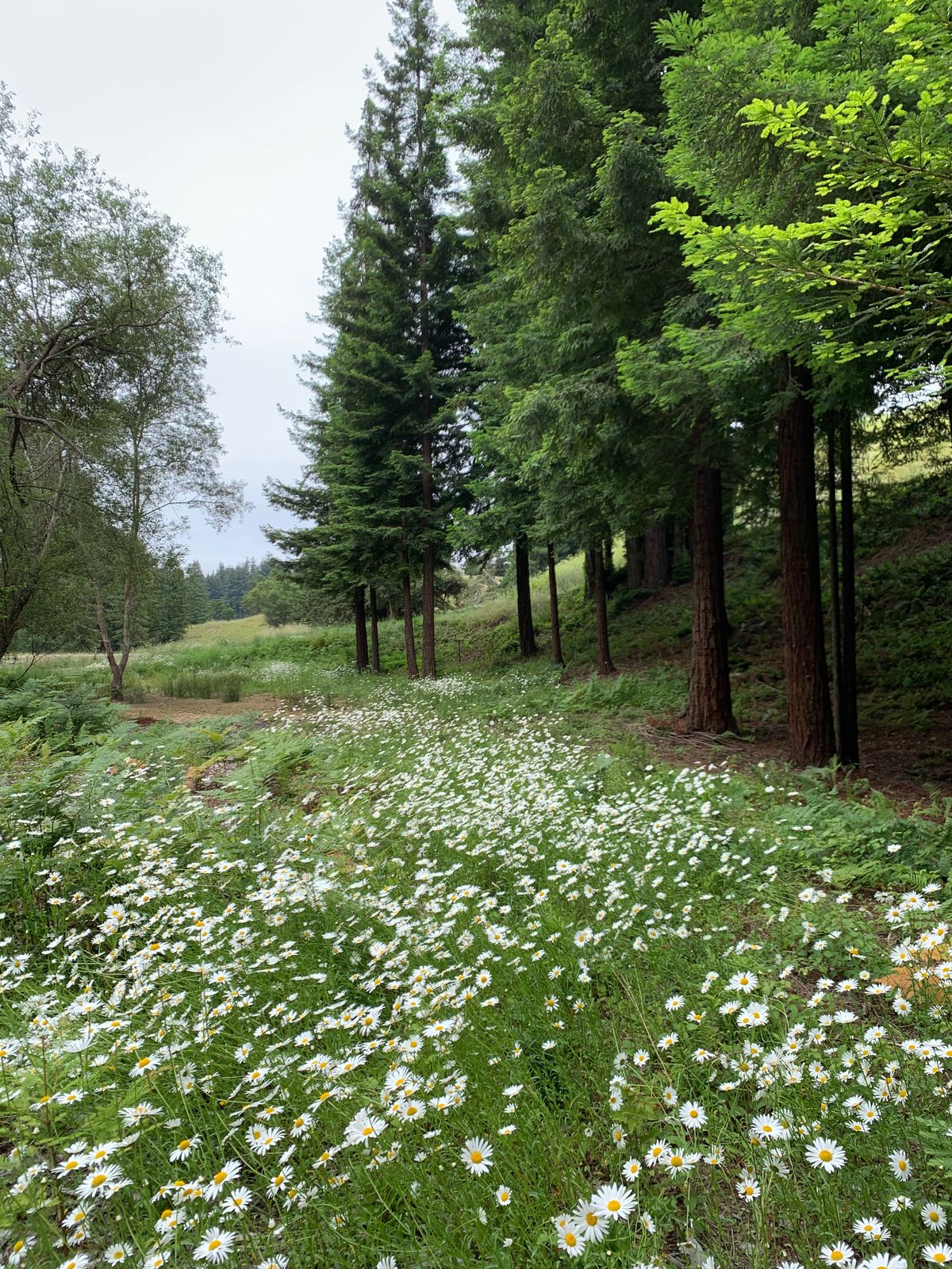 Hole 8