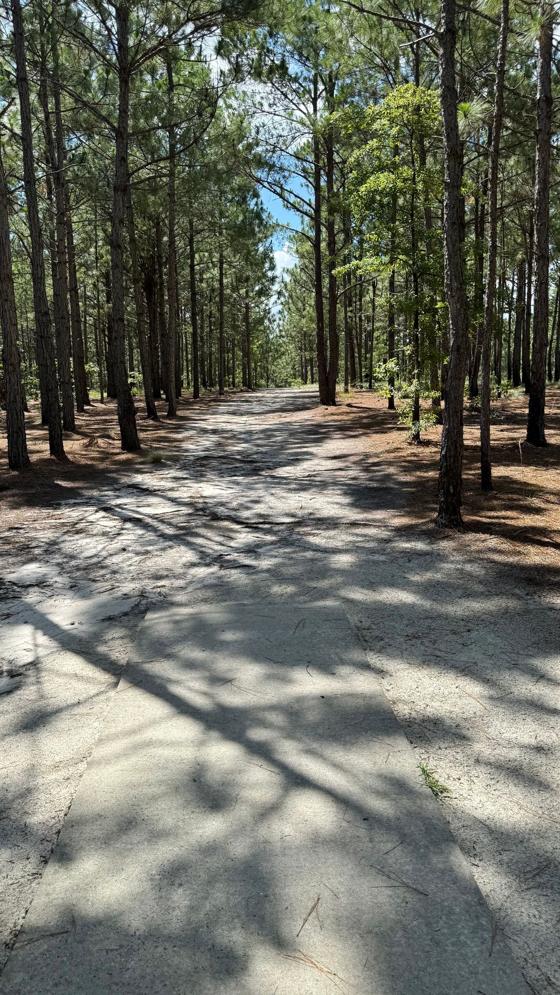 Hole 6 Tee Pad
