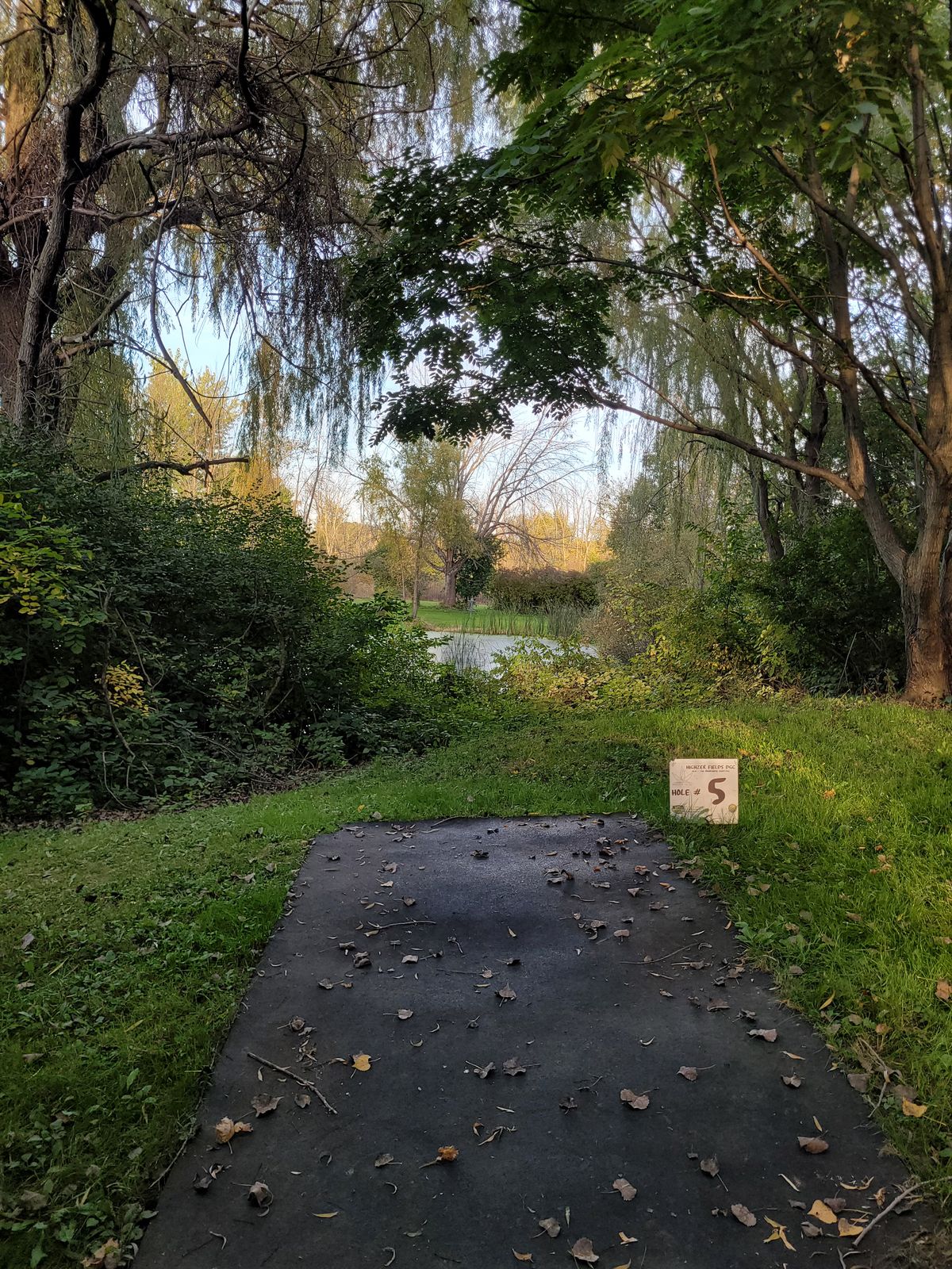 Courses most iconic tee on hole 5