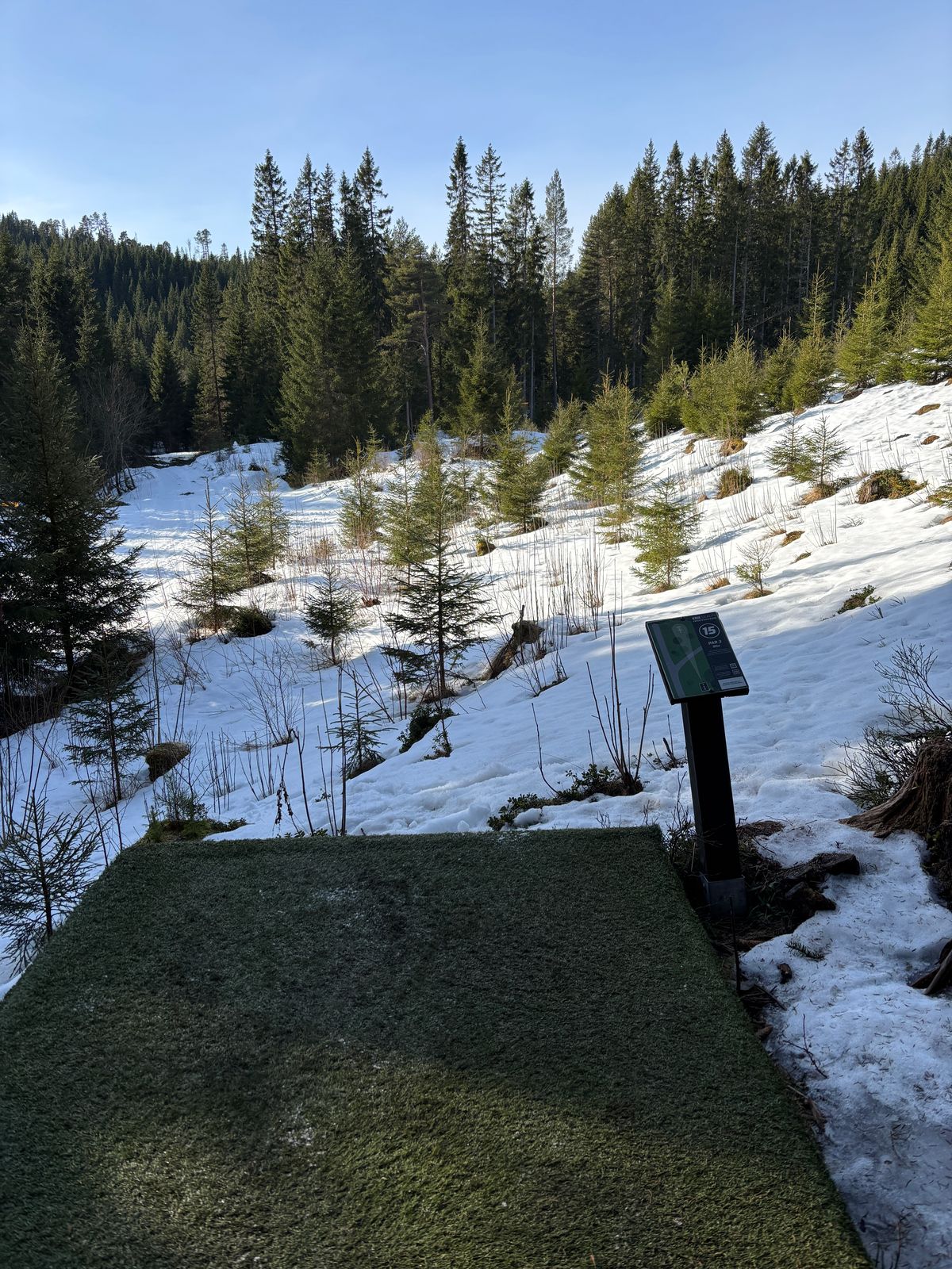 Hole 15