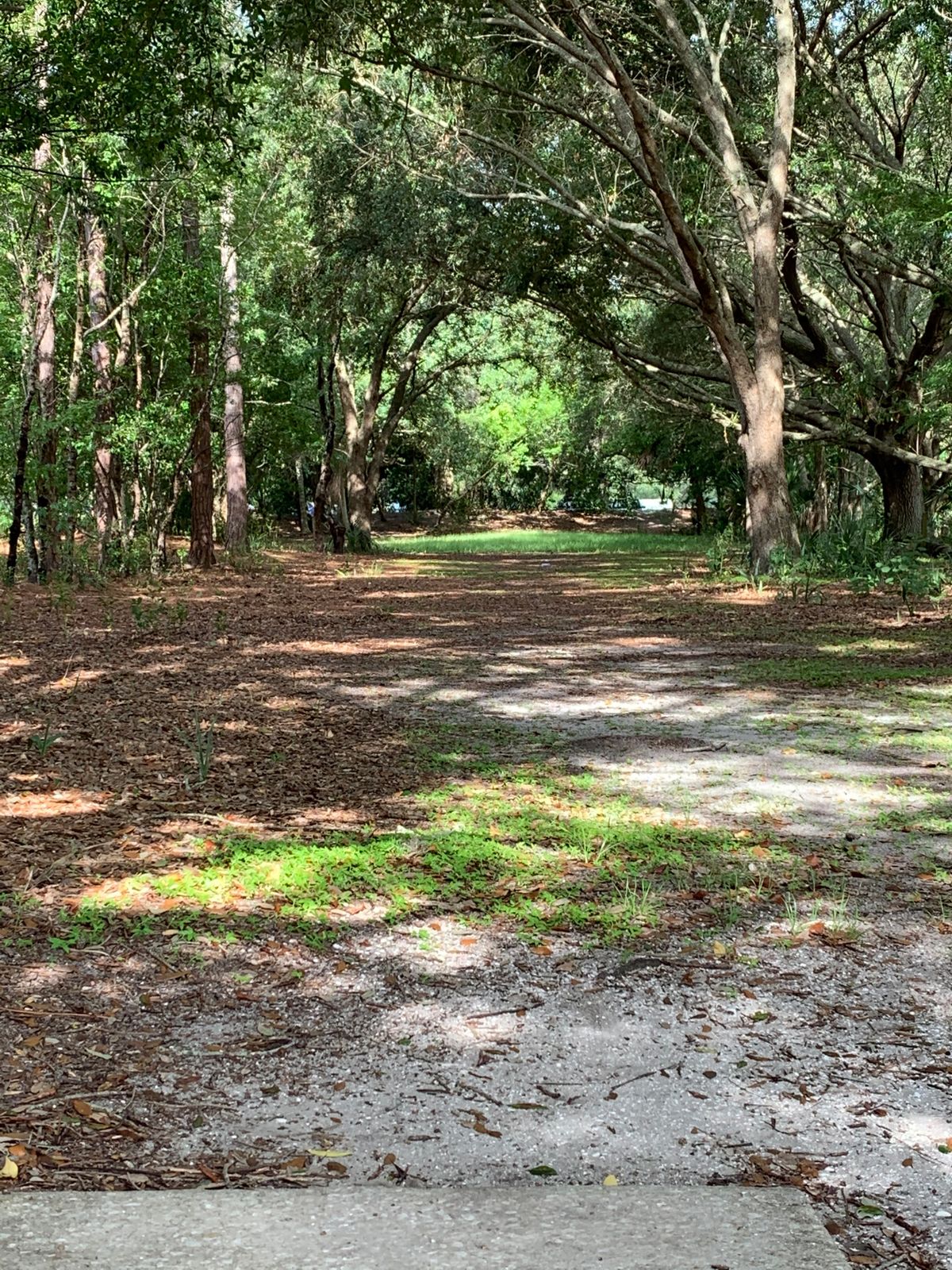Hole 9