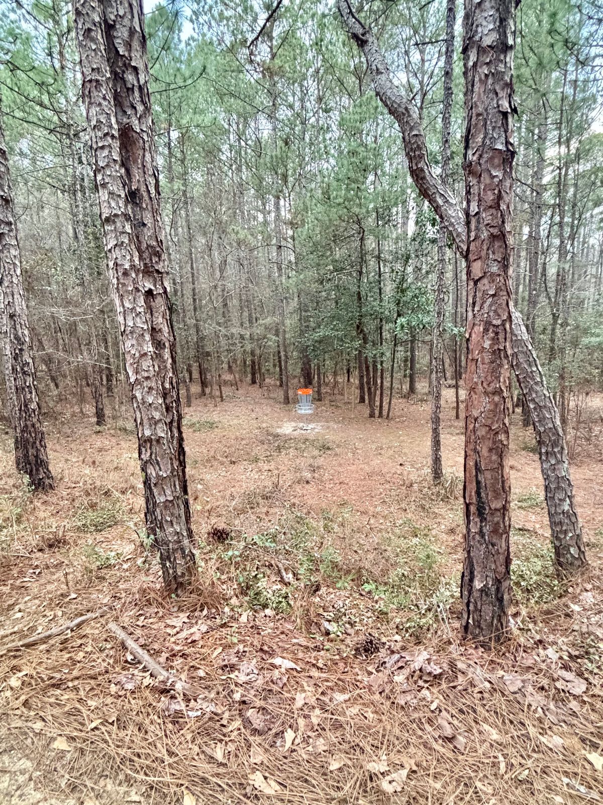 Hole 3 Basket