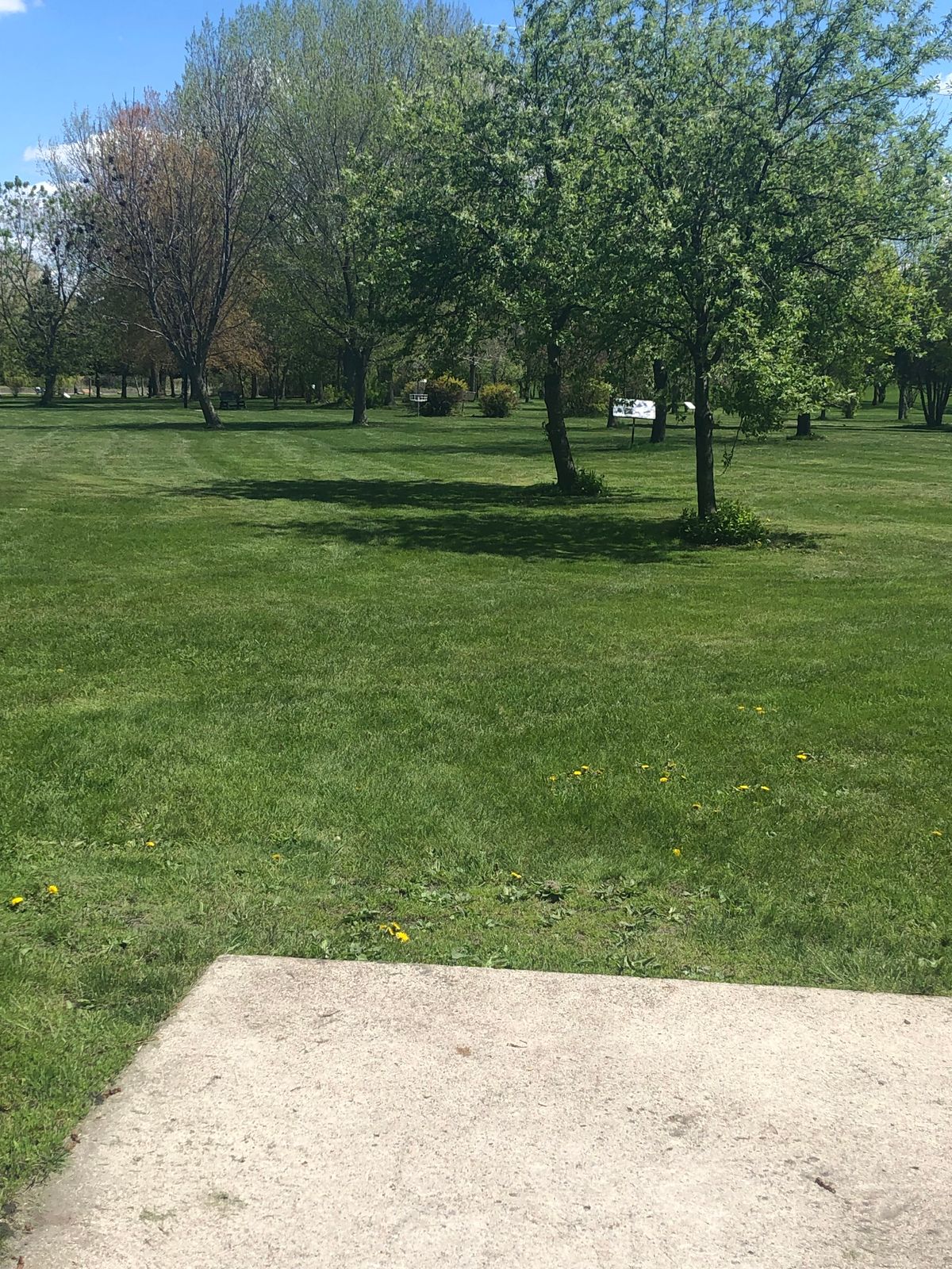 View of hole 3 basket from tee pad