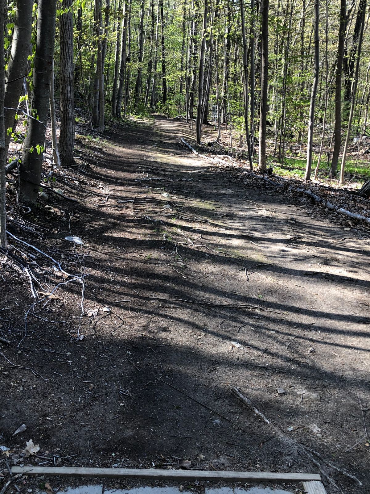 Hole 2: Basket to the right