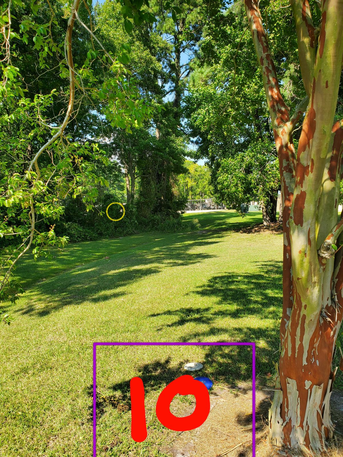 Hole 10
Shoot from first eucalyptus tree. 
Basket is on closest corner of basketball court.