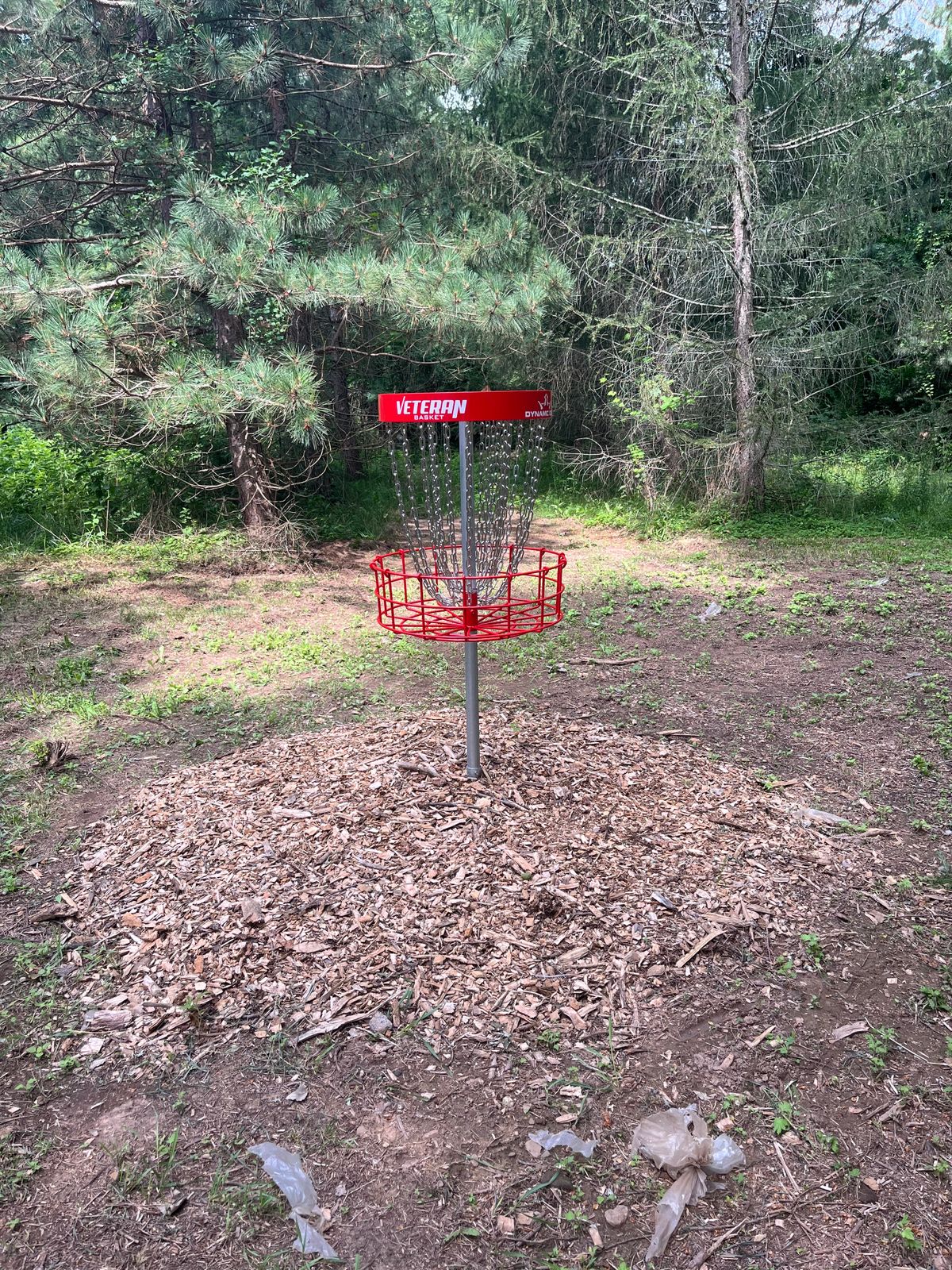 Hole #4 Basket