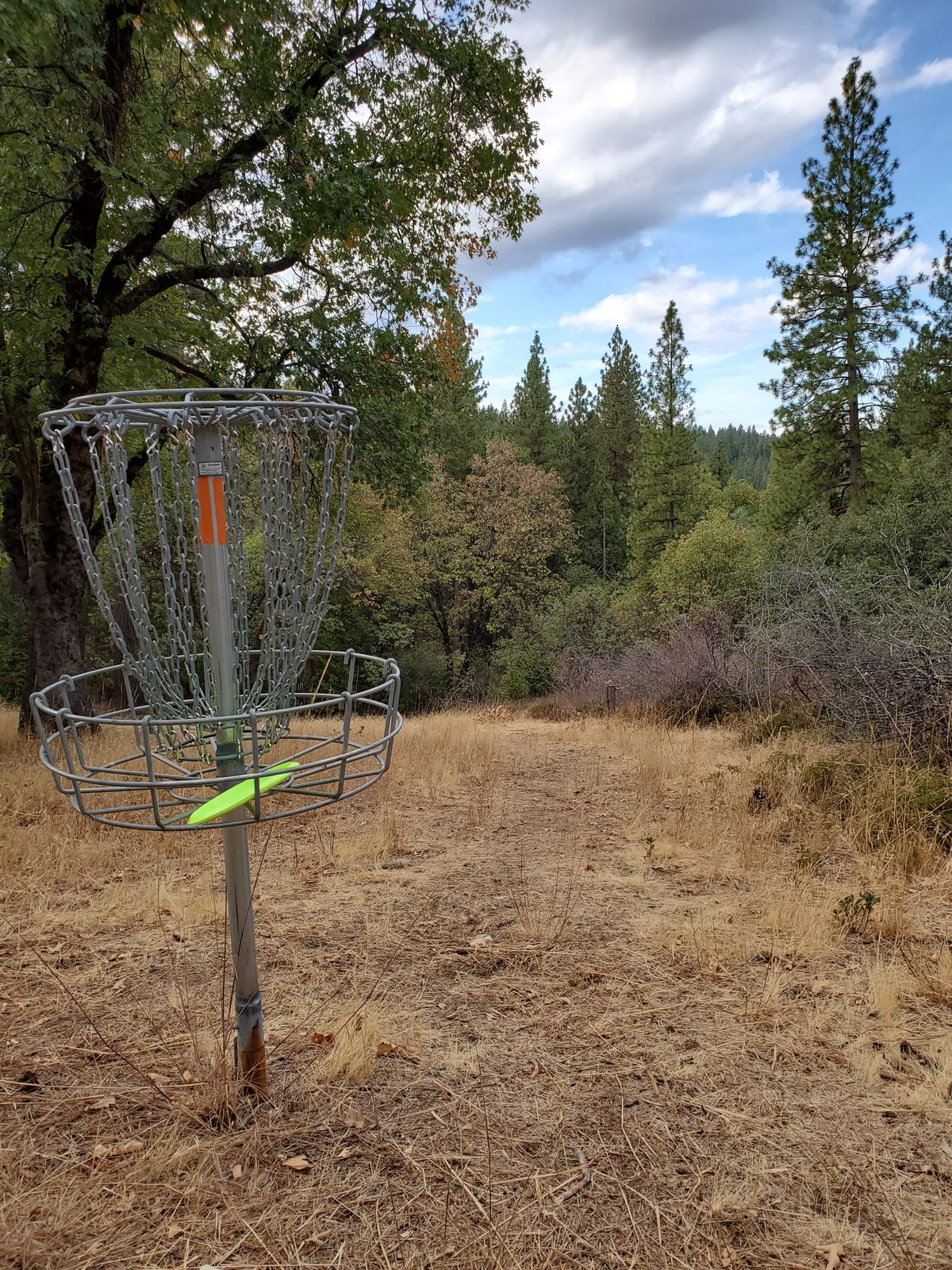 17th basket