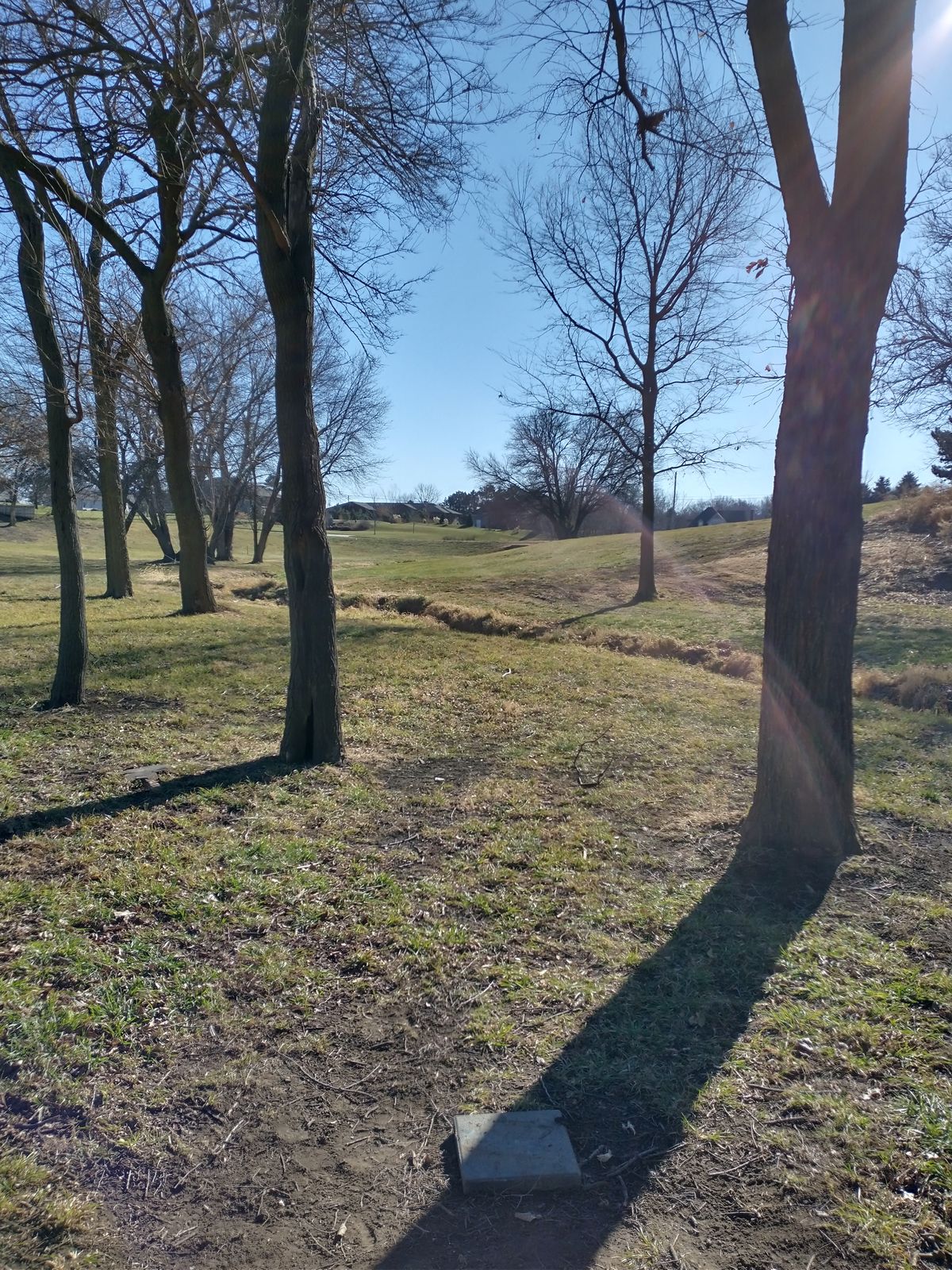Hole 3 Tee