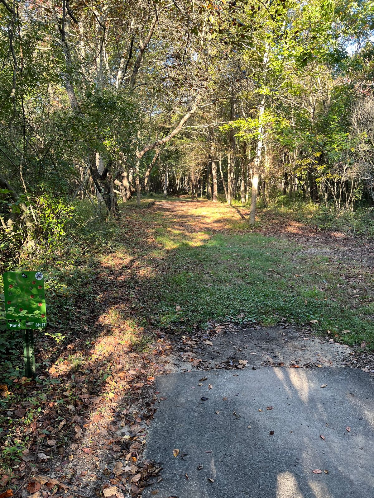 Hole 7 tee