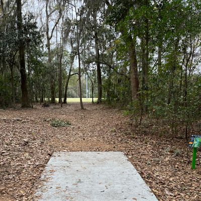 Hole 2 (short)
