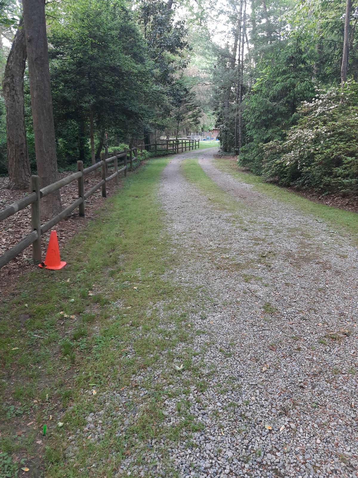 Hole 3 Gold Tee