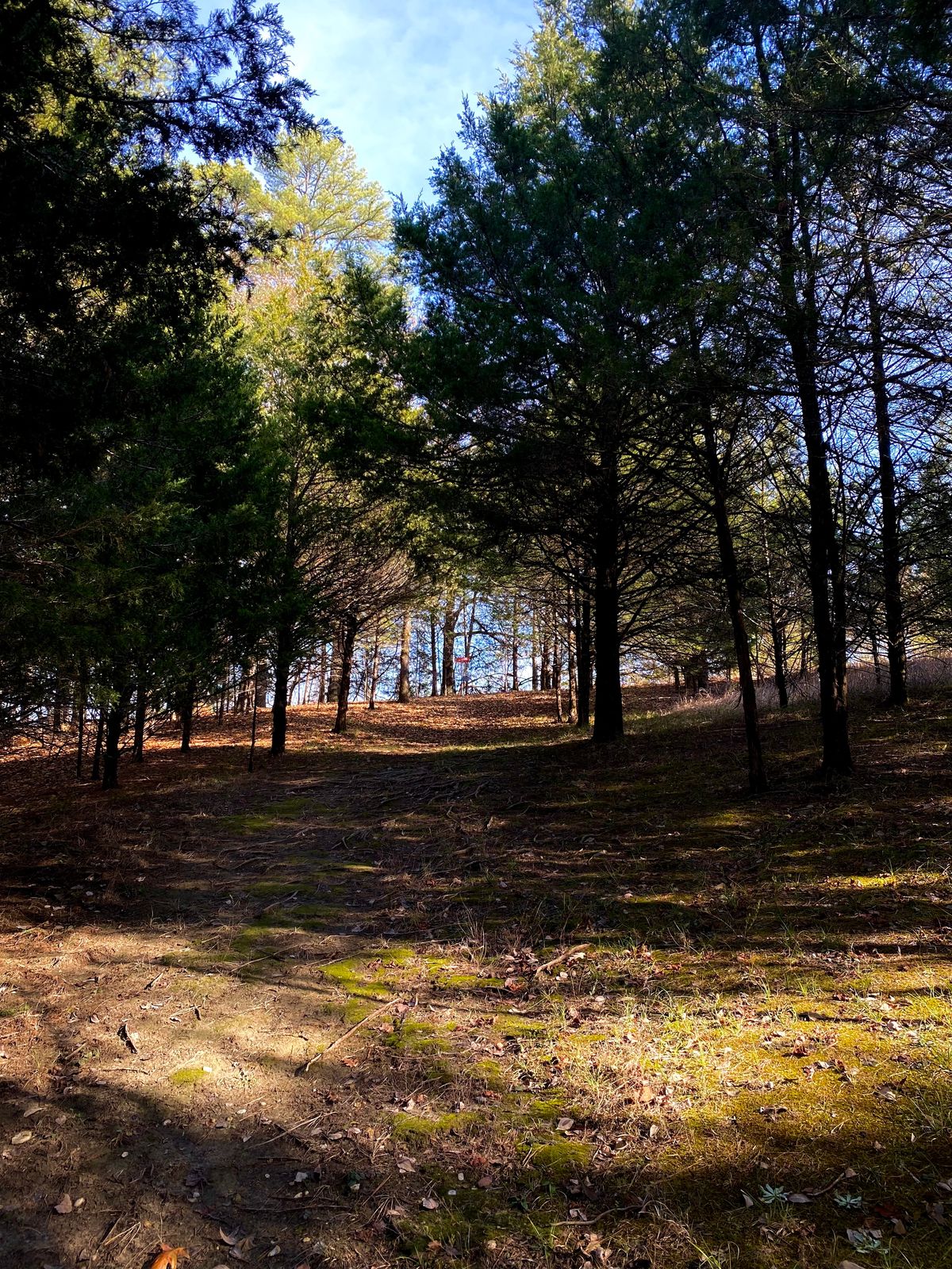 Hole 4 approach on Gold Layout
