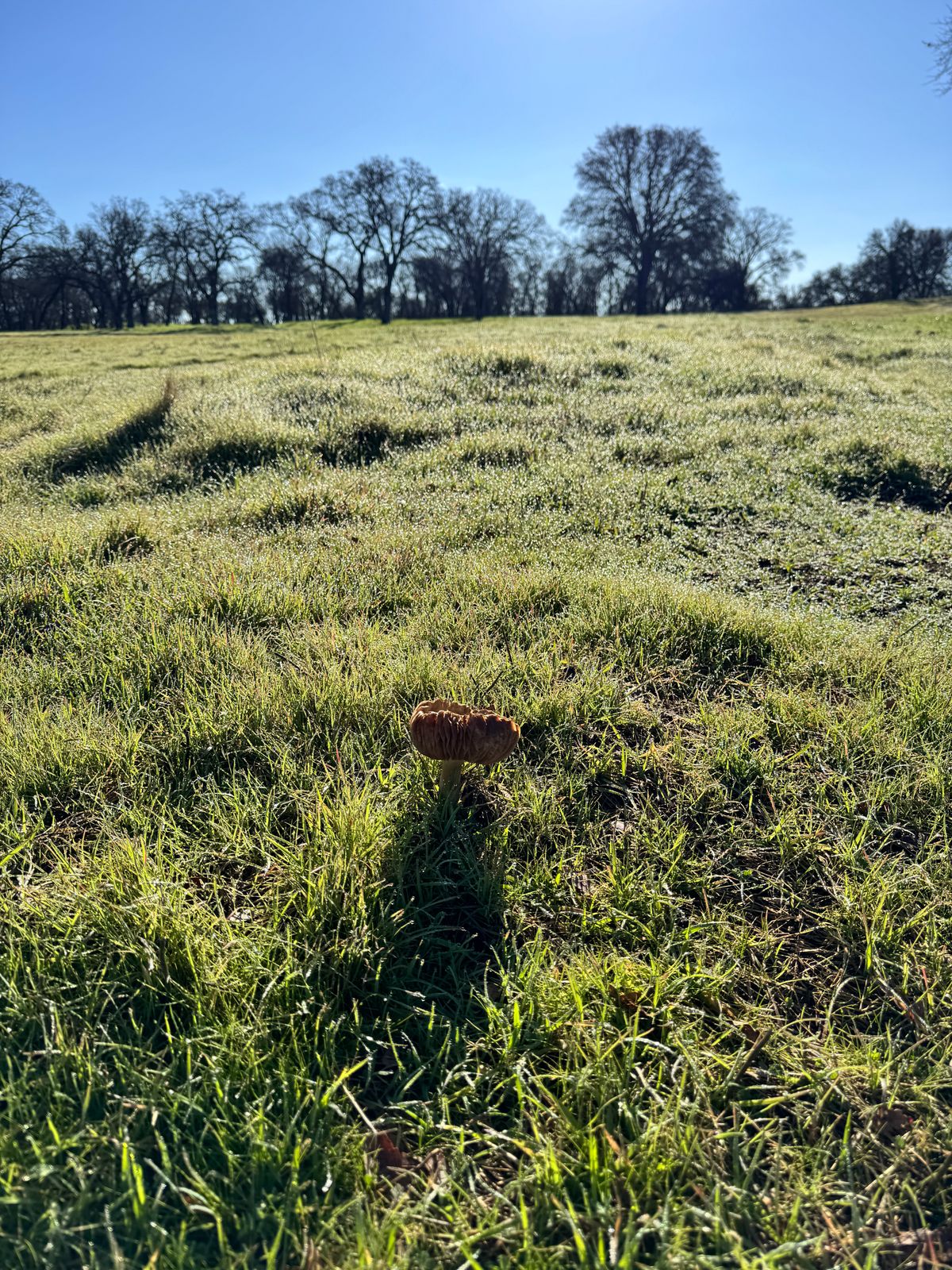 Hole 6 by creek.