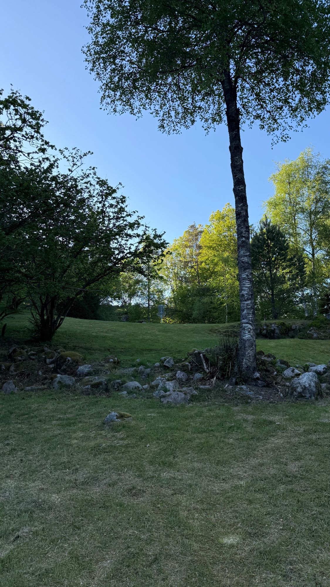 Hole 11
