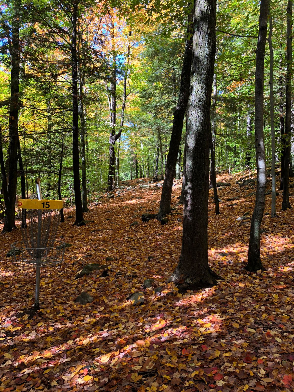 Can’t beat fall here.