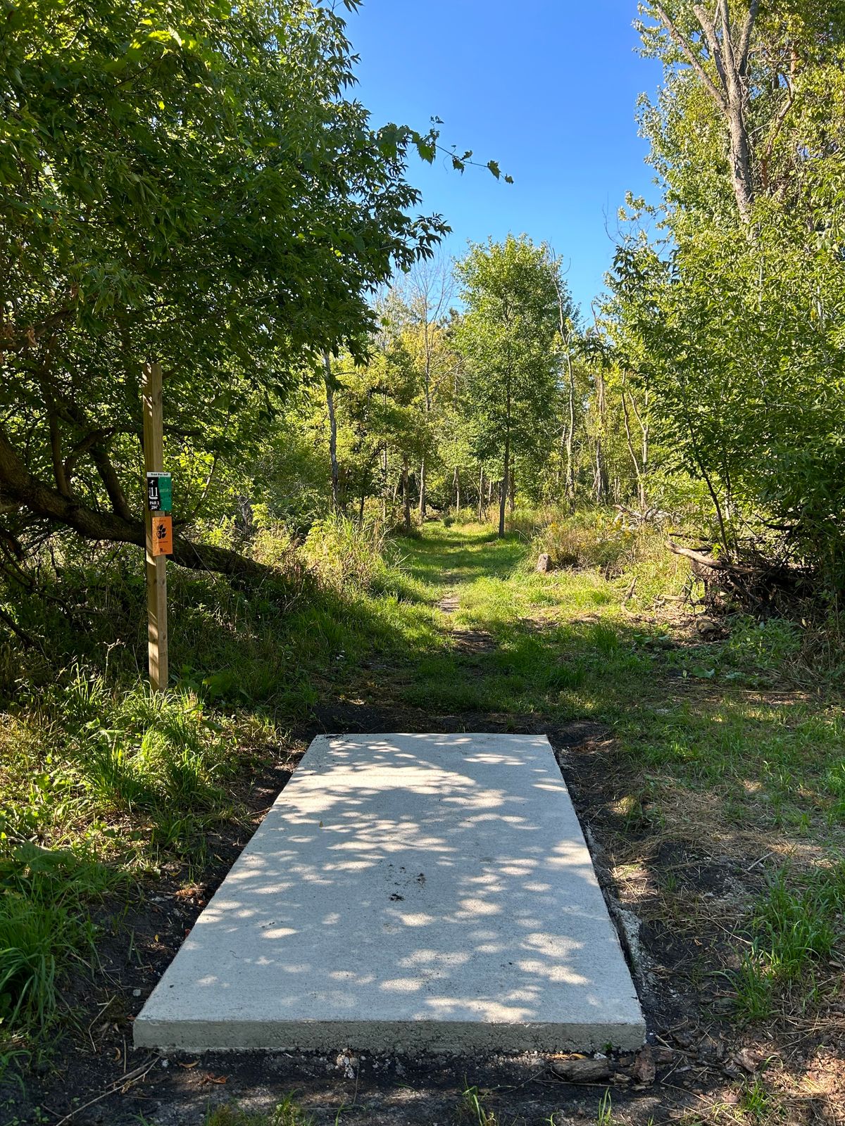 Hole 11