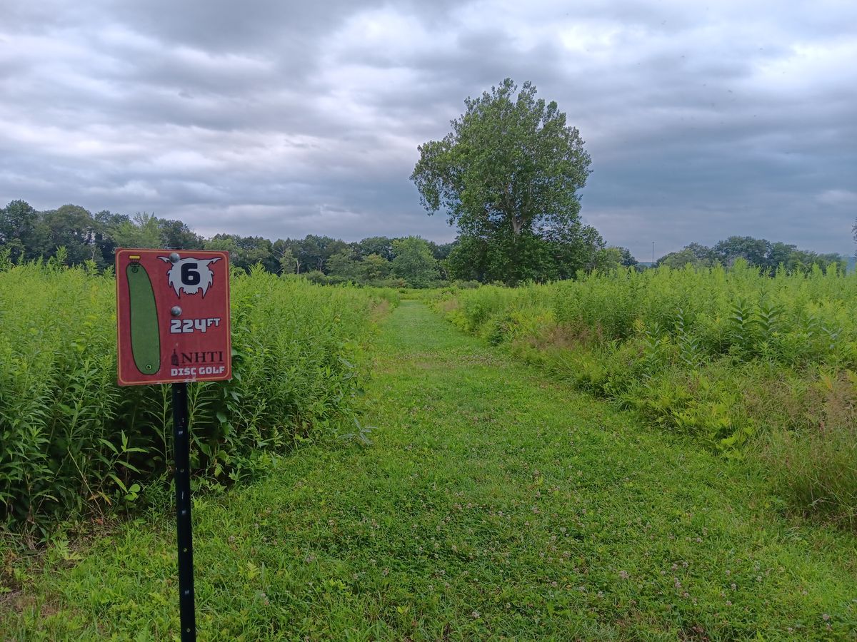 Holes 6-8 you basically have to be perfect. About 8 foot wide path ways mowed from basket to basket, with 4 foot tall grass everywhere else