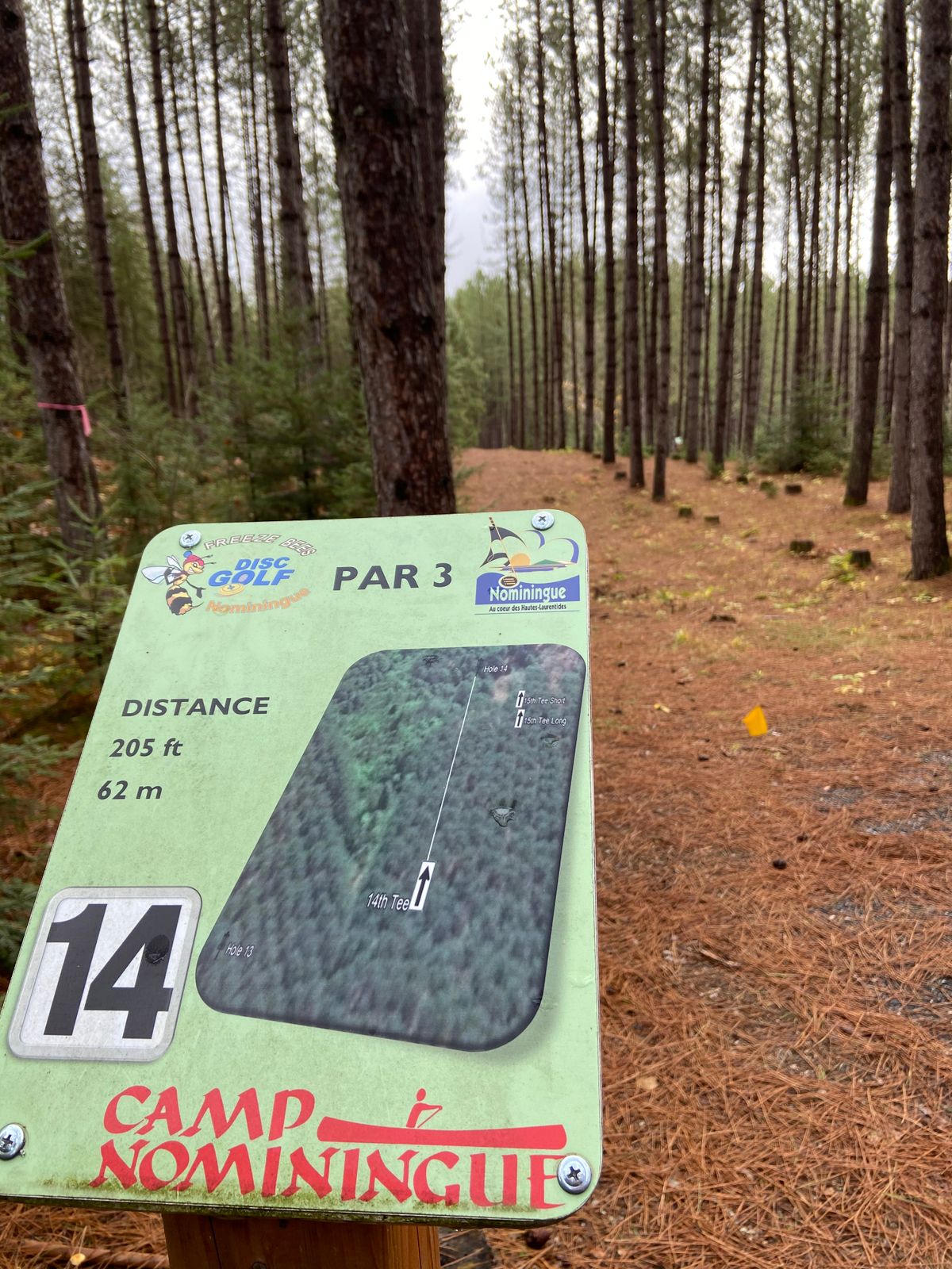 Tee 14