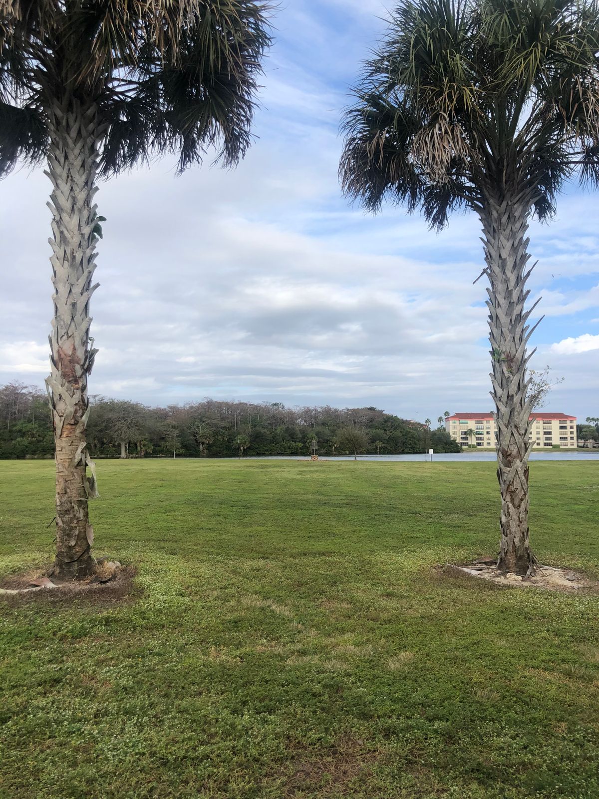Hole 11