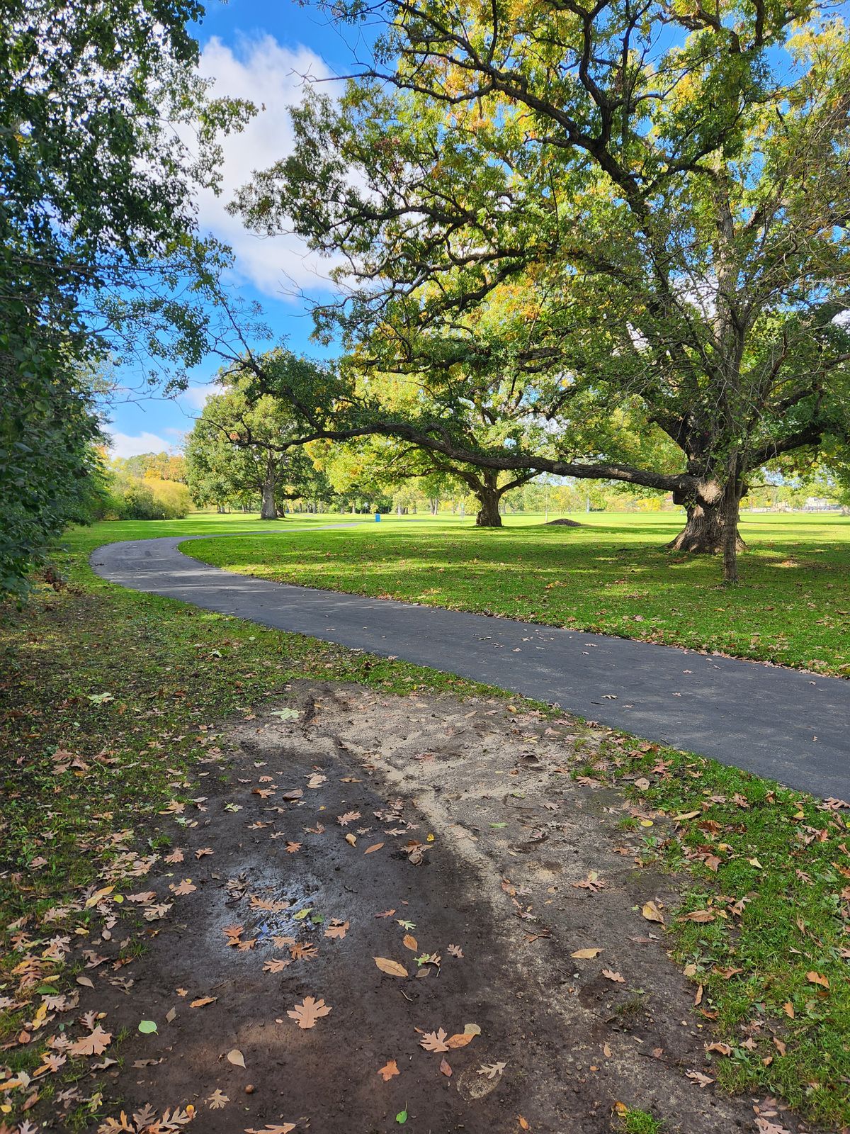 Hole 8 short tee