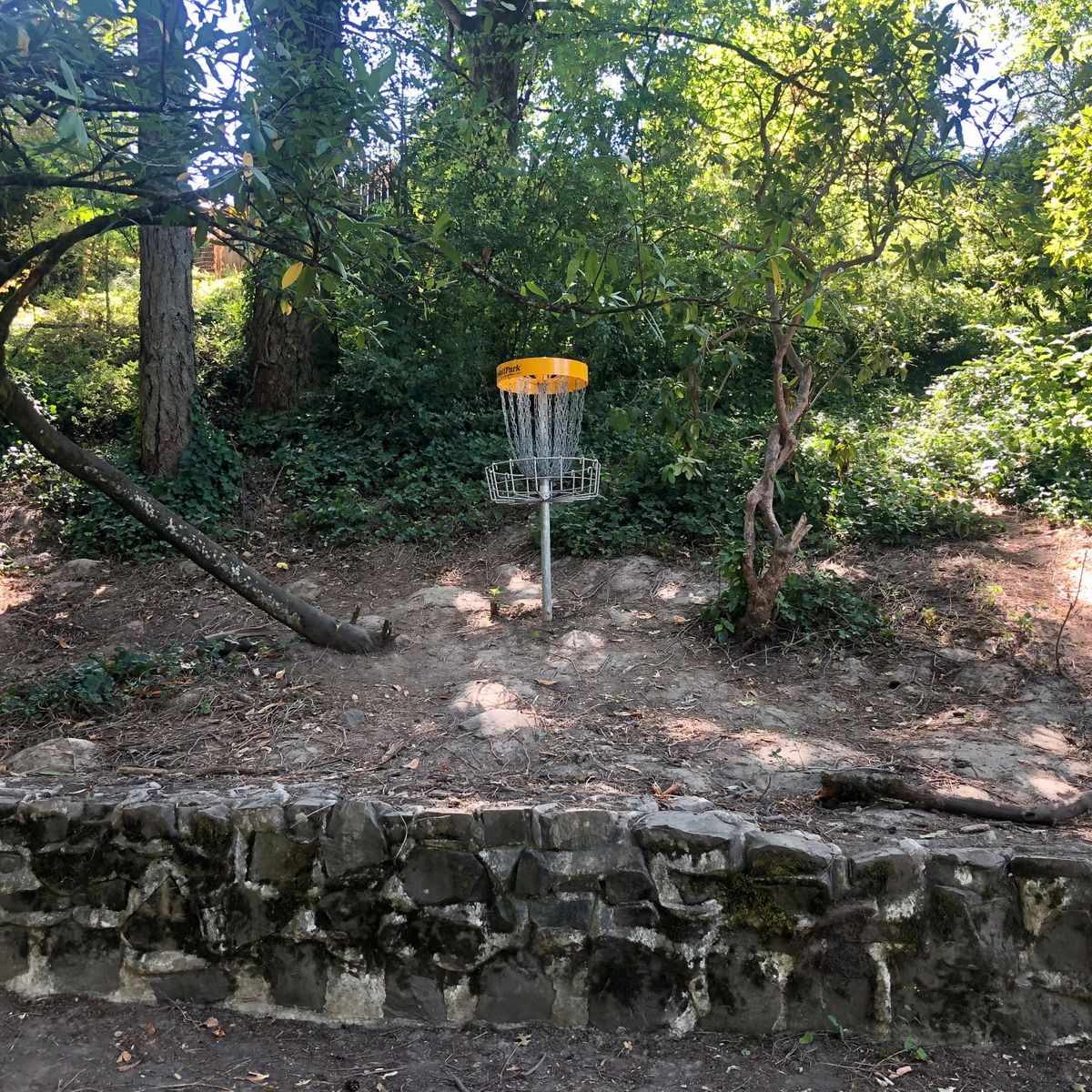 Hole 4 basket