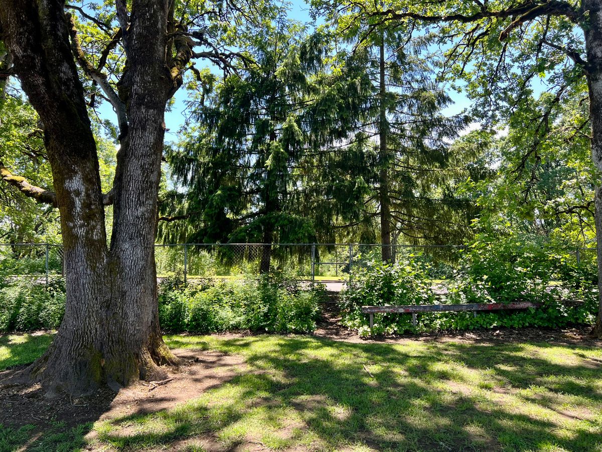 Hole 1 tee tree