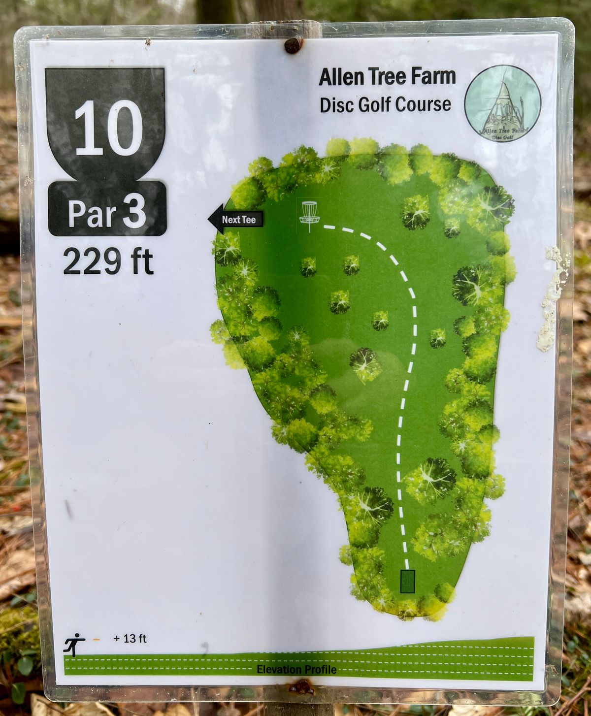 Hole #10