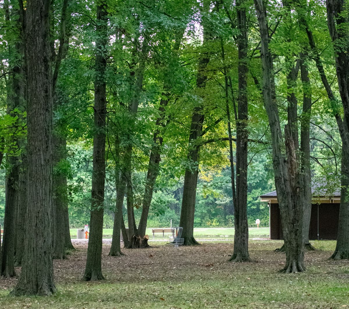 #3.  Some trees but a good tee shot can land you close.