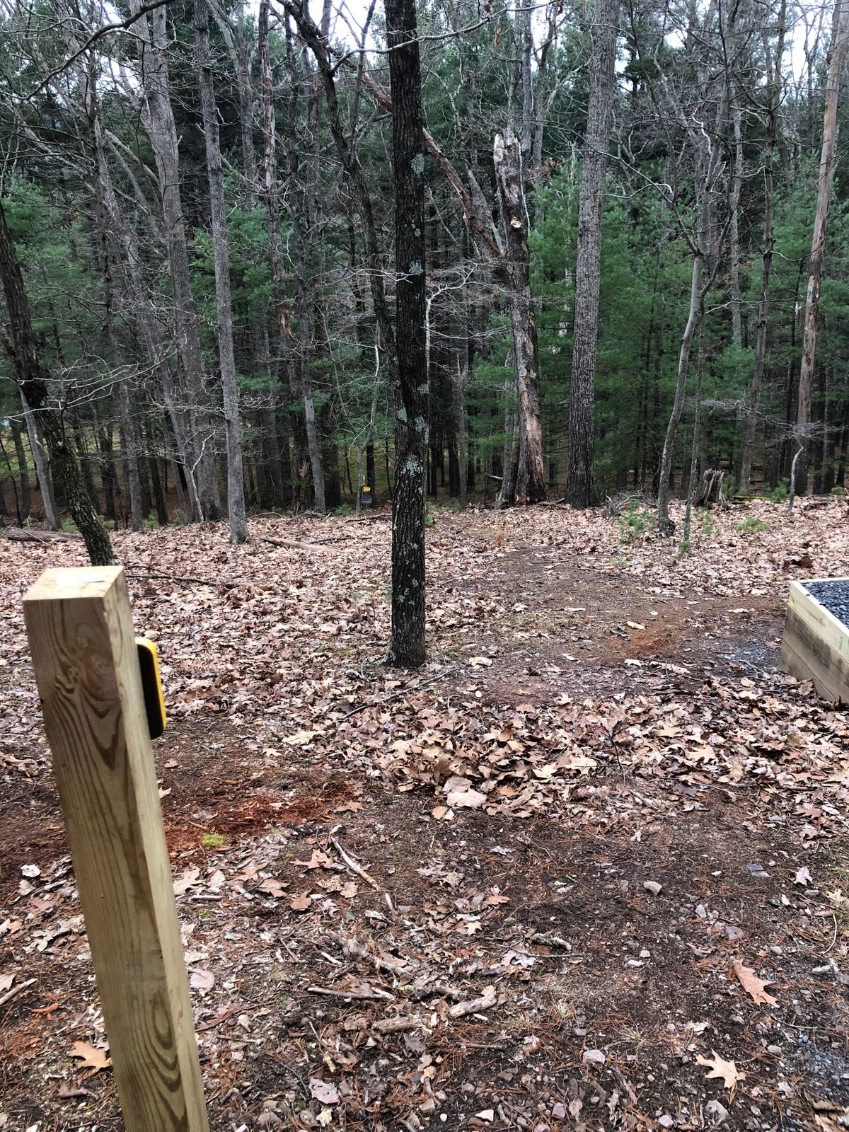 Tee Box 7 - short downhill