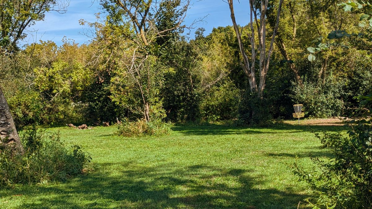 Wild turkey walking through hole 6, rude! 9/10/2024