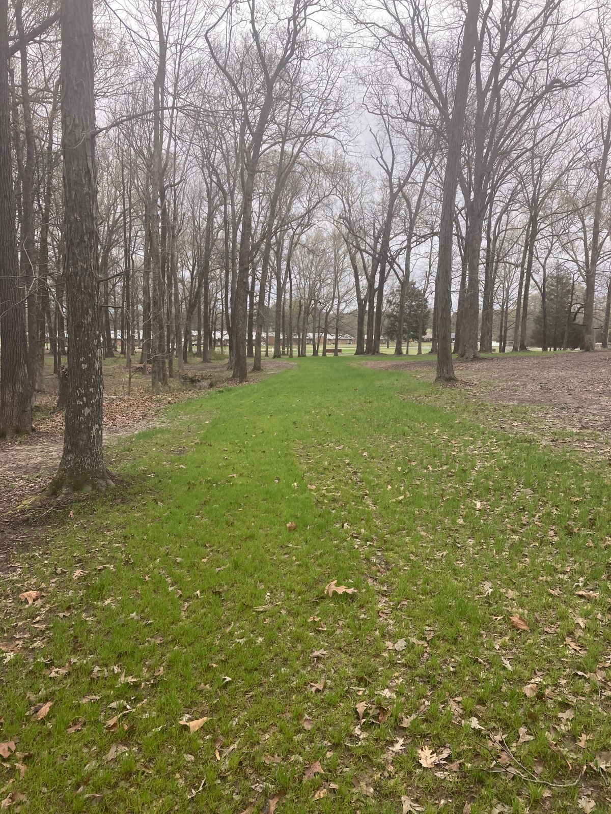 Hole #8
