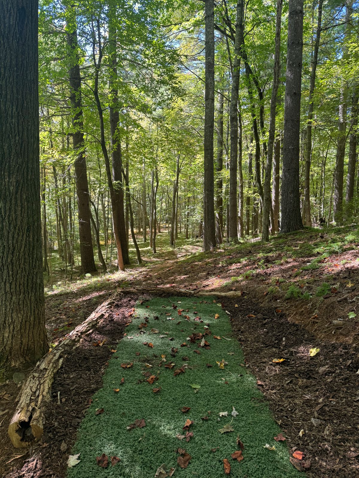 Hole 14 Long