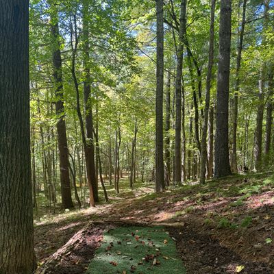 Hole 14 Long